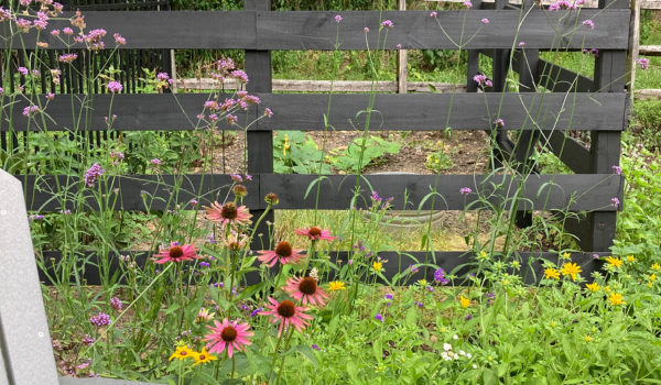 black painted split rail fence