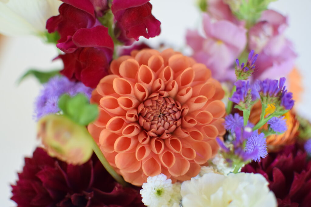 dahlia and snapdragon bouquet