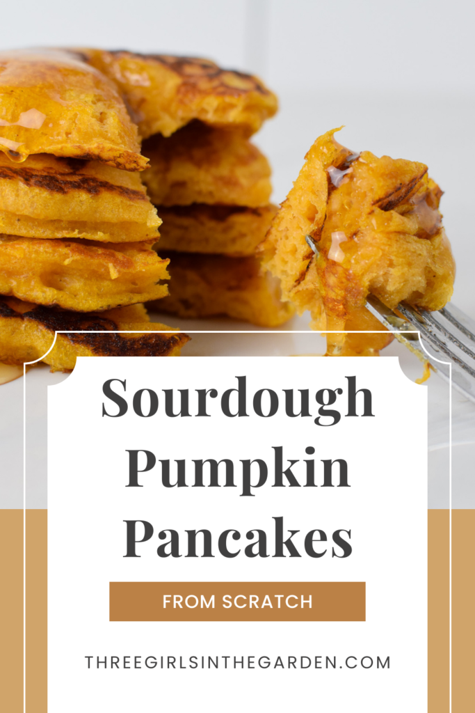 Sourdough Pumpkin Pancakes from scratch with a fork