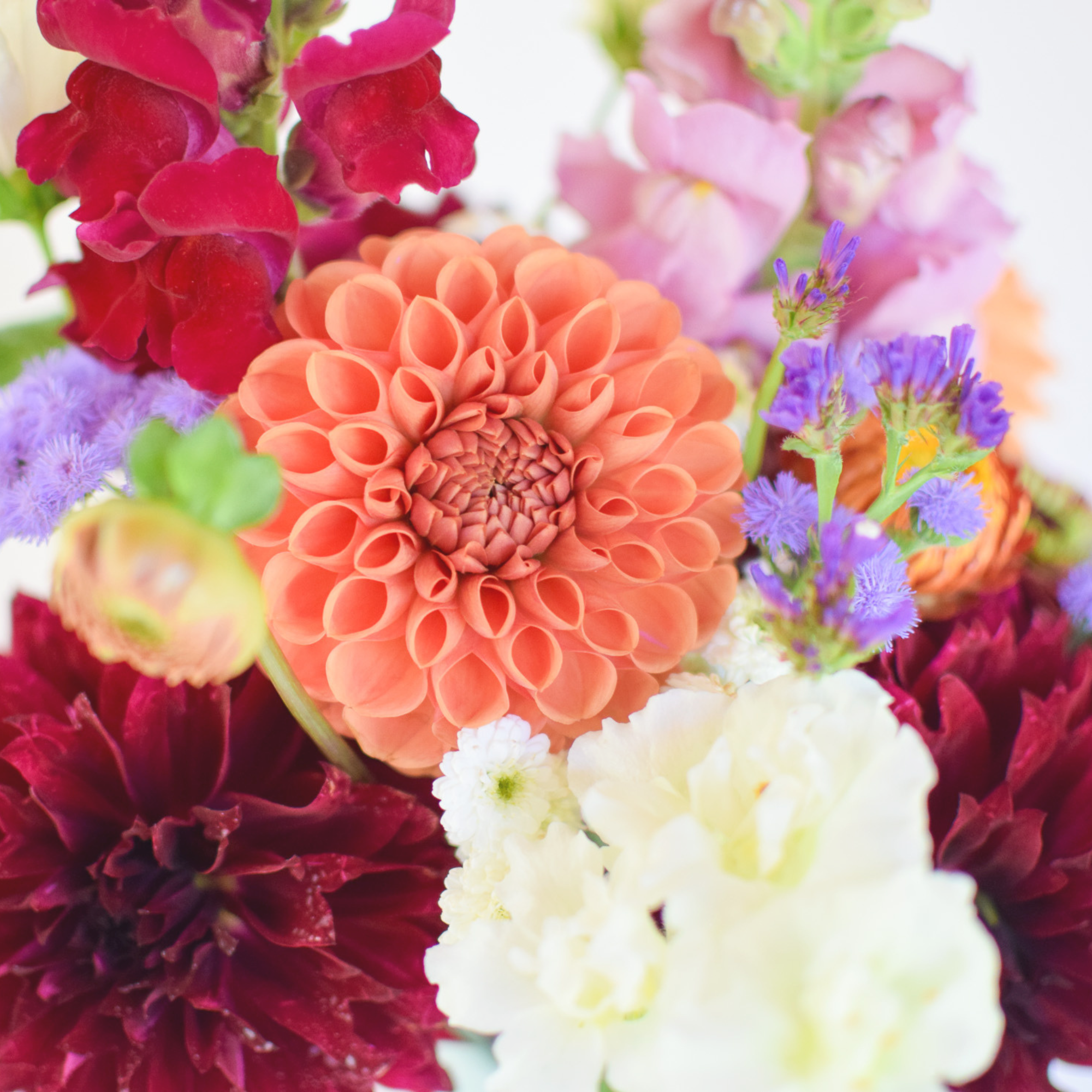 close up of bouquet of flowers