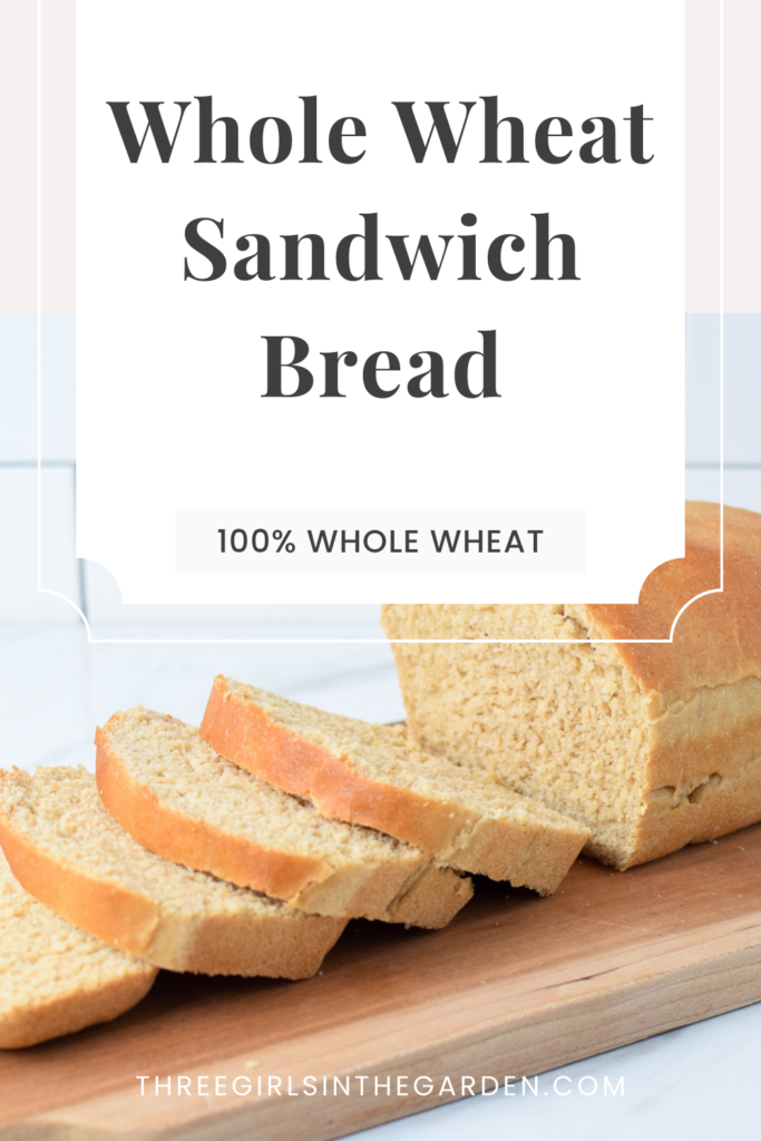 whole wheat sandwich bread