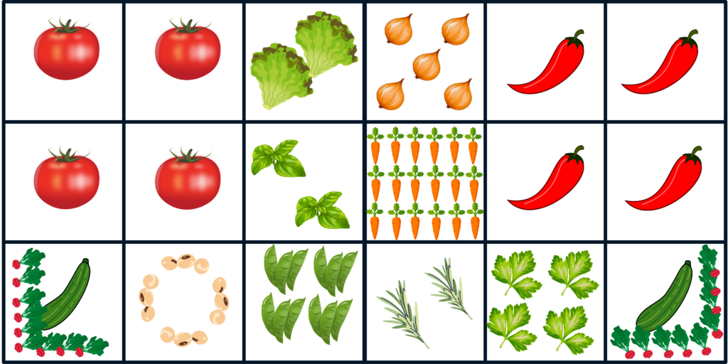 raised bed planting layout