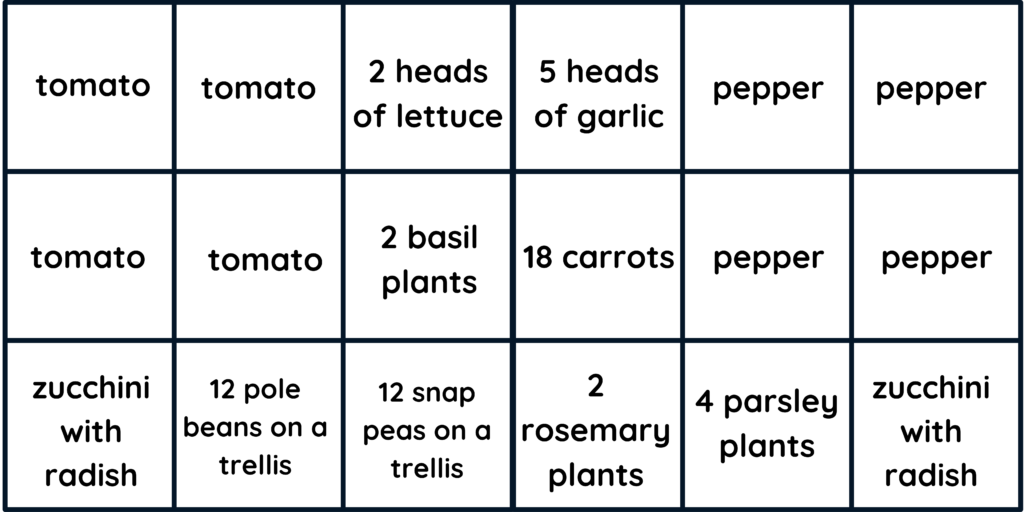 written raised bed planting layout 