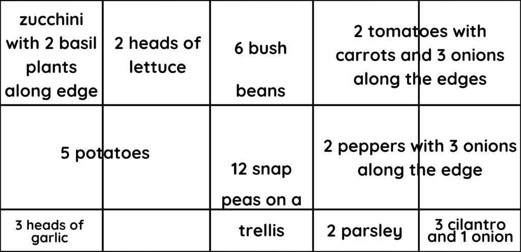 raised bed planting layout guide