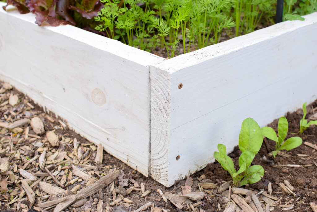 wooden box corner showing 2 screw locations