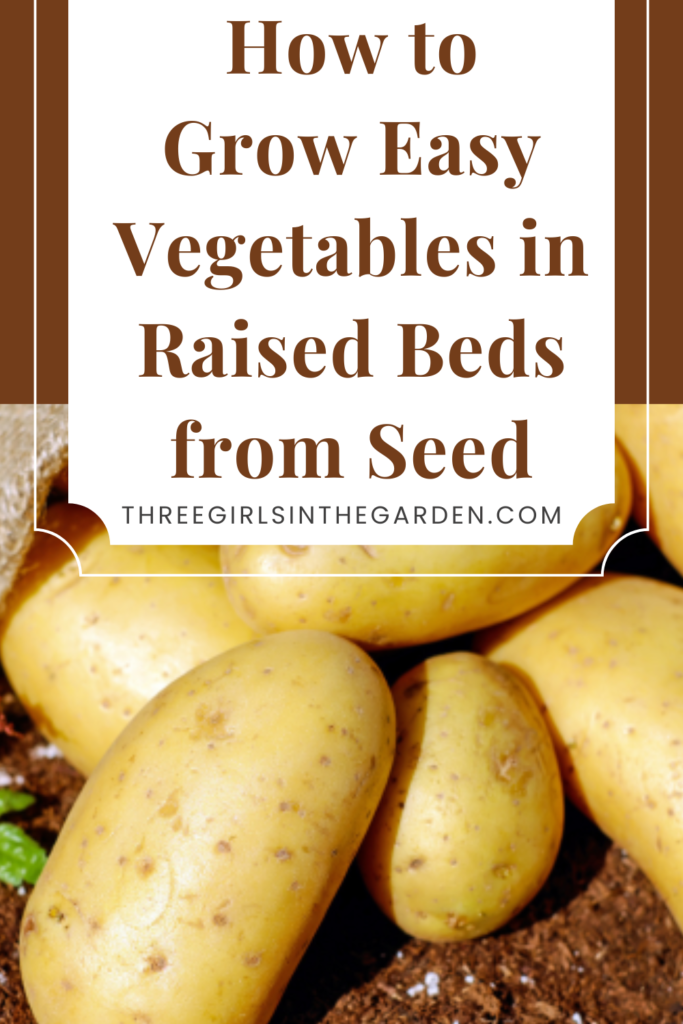 how to grow easy vegetables in raised beds from seed