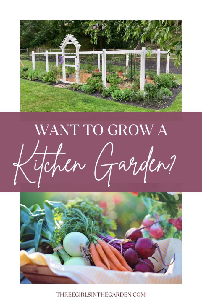 pinterest image of a fenced garden and a basket of produce