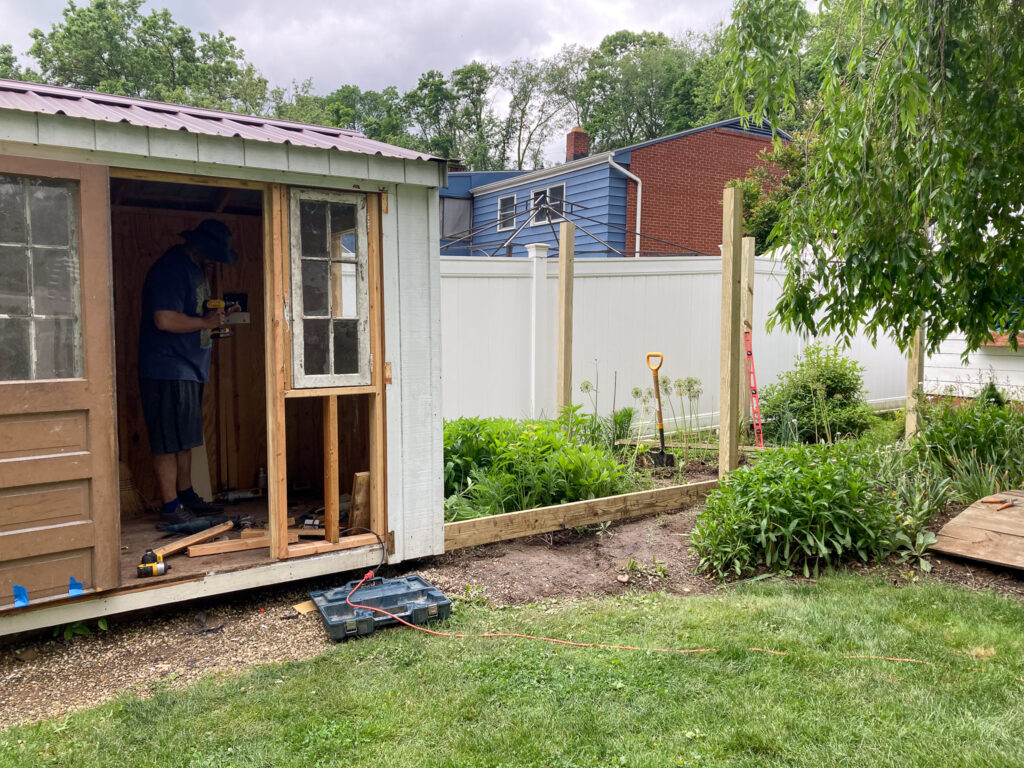 shed being converted to a chicken coop with added run