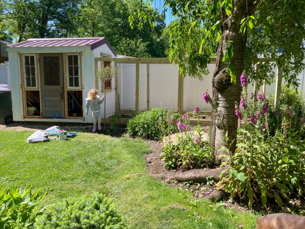 shed being converted to a chicken coop with added run