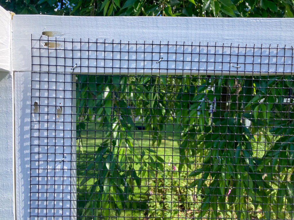 attaching hardware cloth to chicken run wood