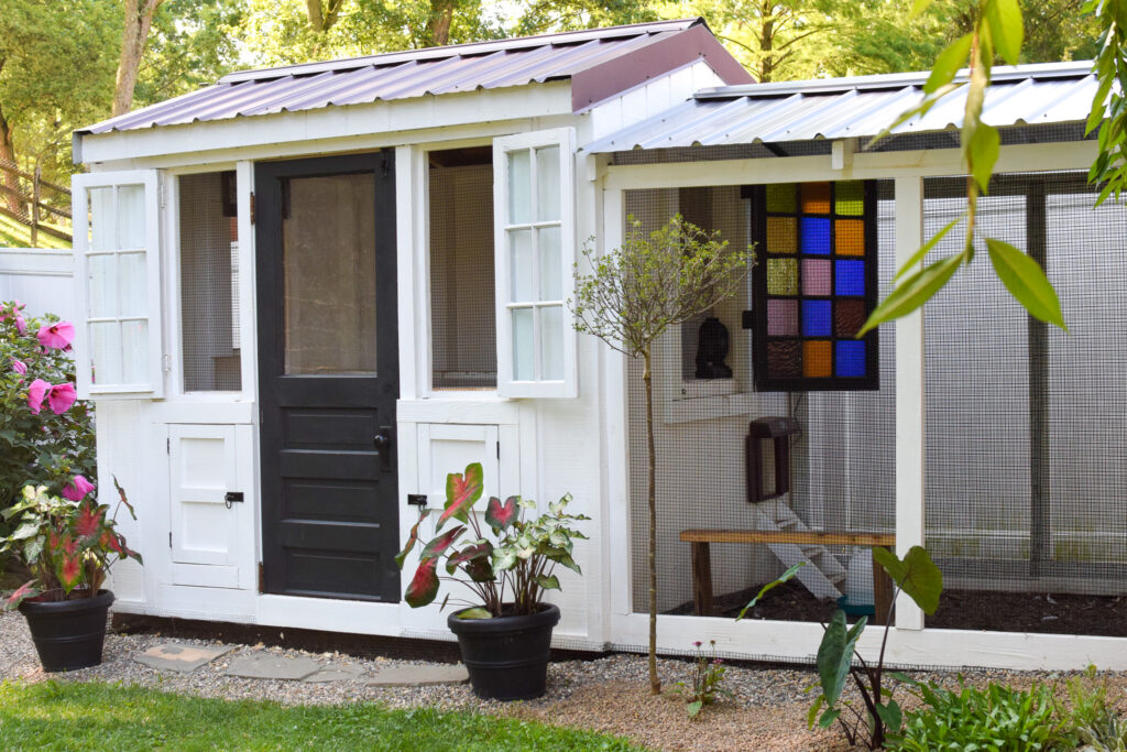 Chicken Coop Shed