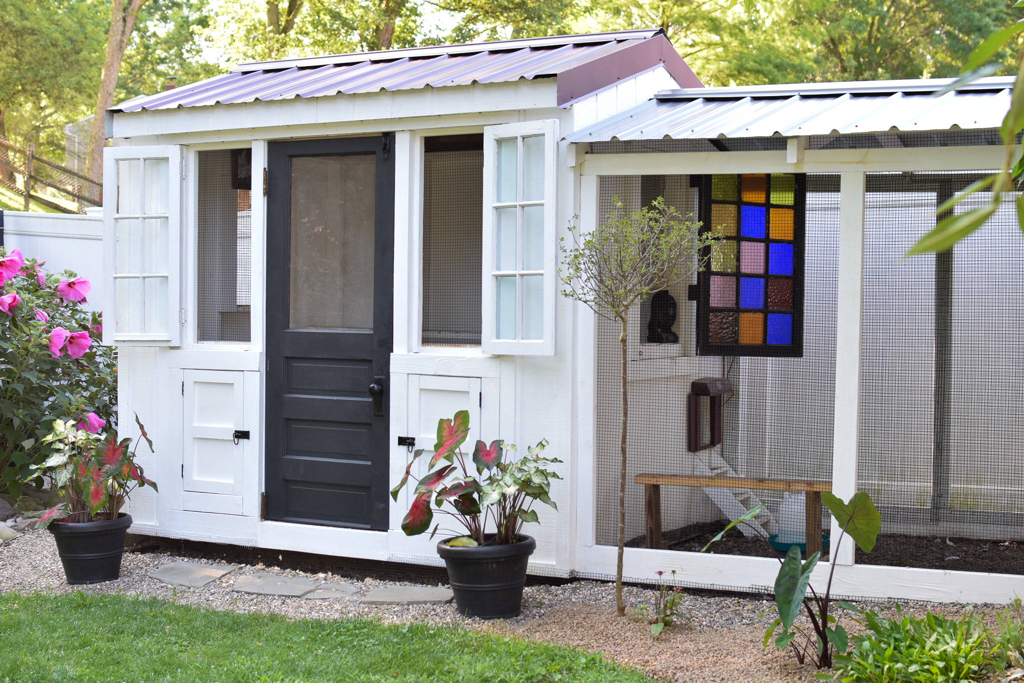 shed to chicken coop