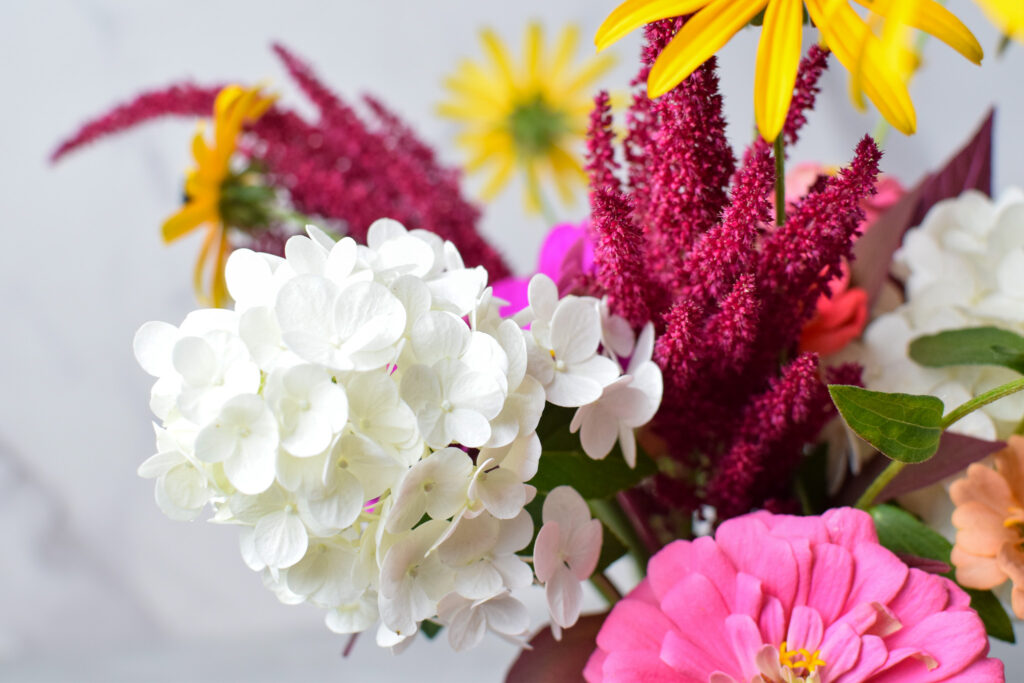 panicle hydrangea in a flower bouquet