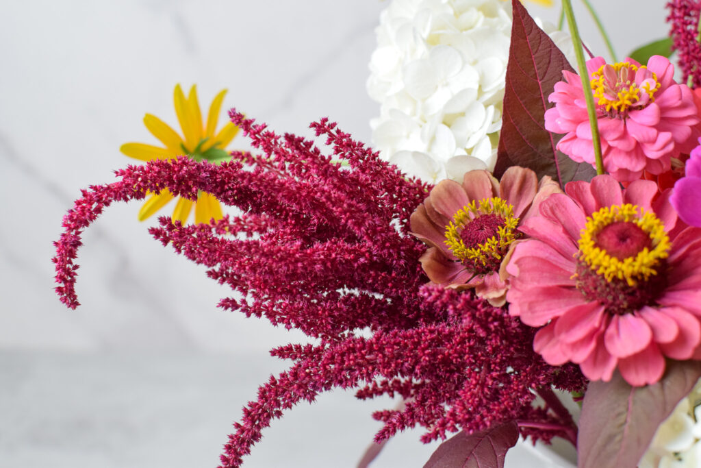 amaranth in a last summer bouquet of best cut flowers