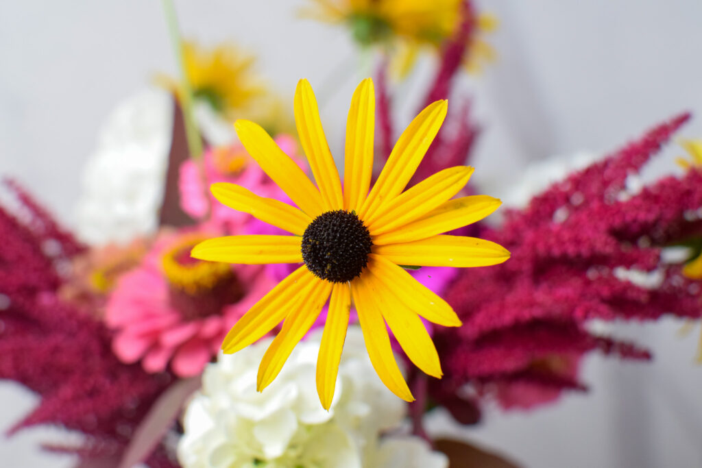 black eyed Susan in a late late summer bouquet