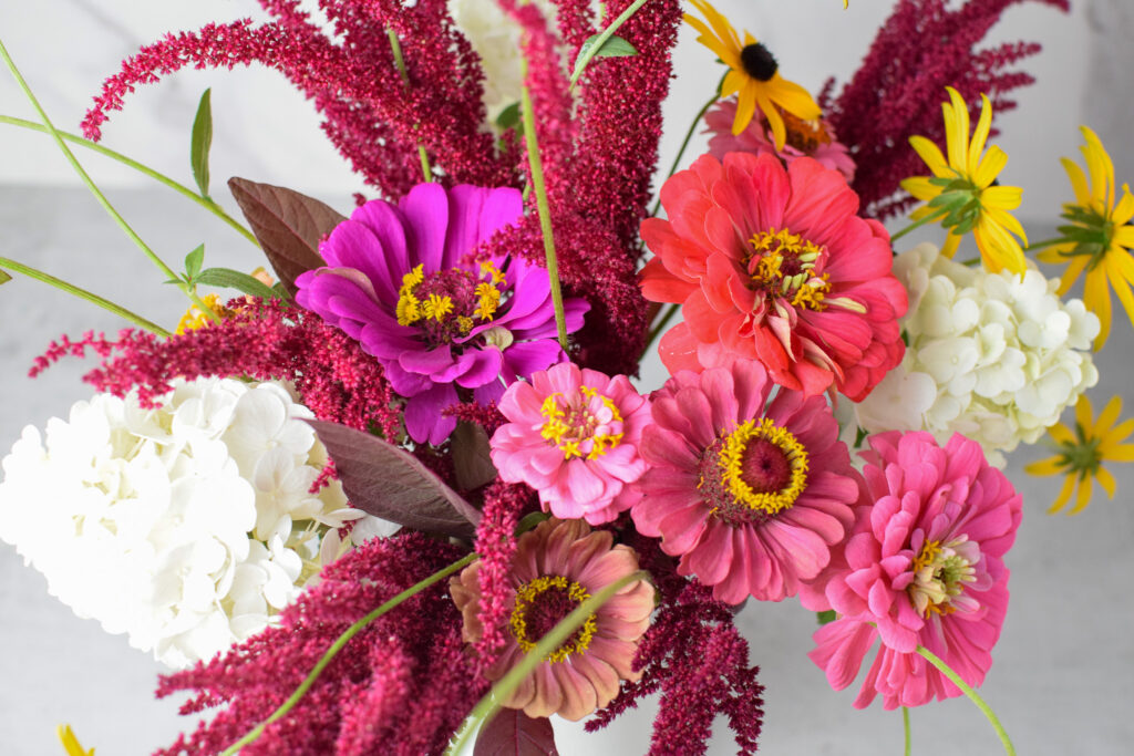 zinnias, hydrangeas, and amaranth best cut flowers