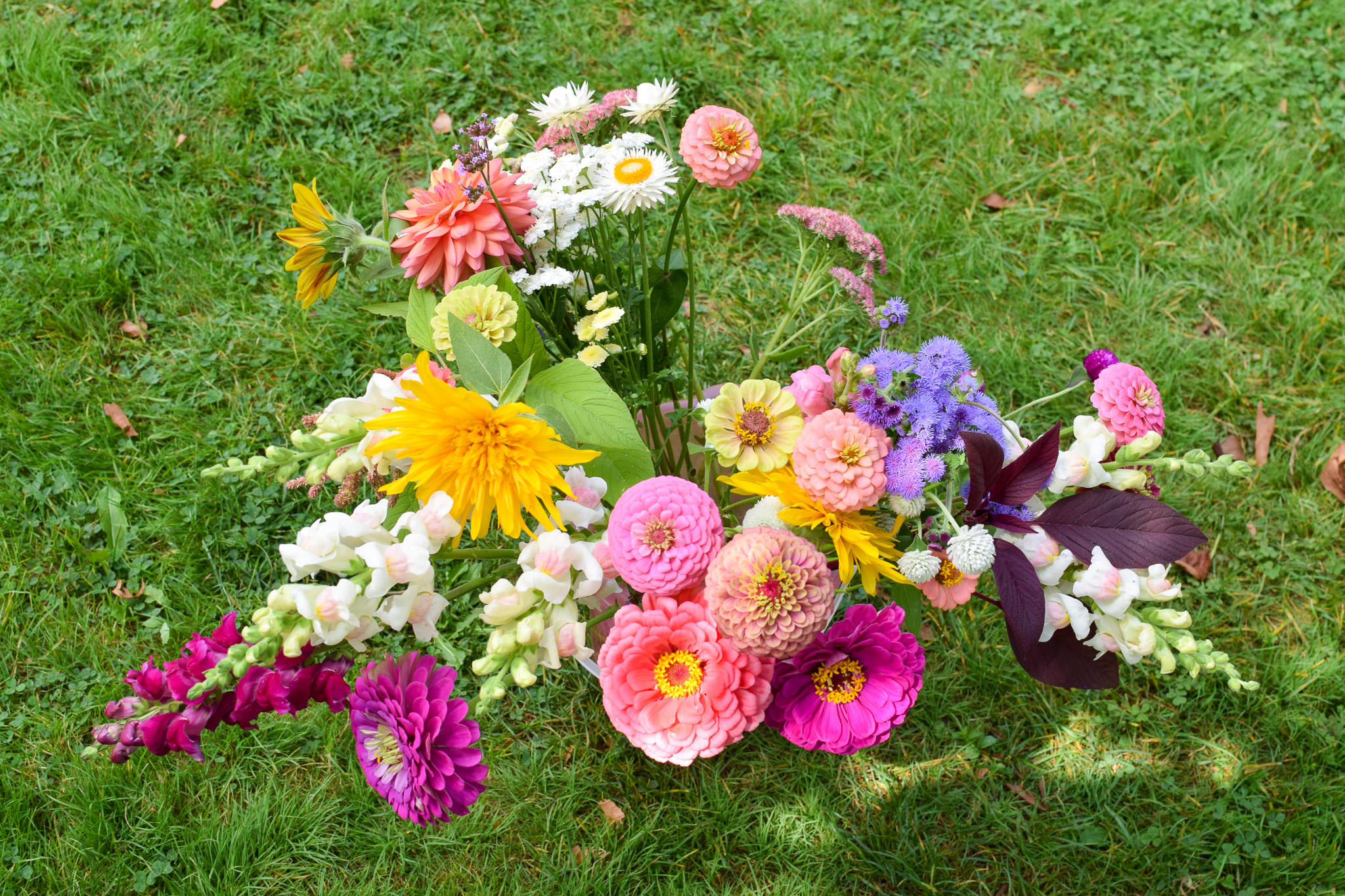 a bucket of flowers cut in September