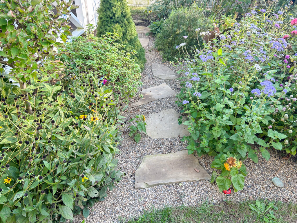 garden path with pea gravel and stepping stones 